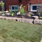 New sod in front of an Armour Stone garden.