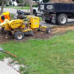 Stump grinding.