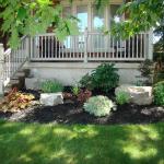 New Armour stone garden with black mulch and shrubs next to a new decorative concrete sidewalk.