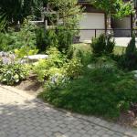 Armour Stone in the garden with some shrubs.